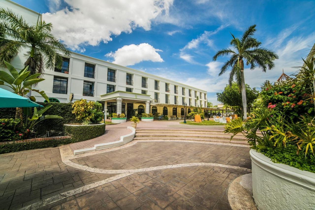 The Knutsford Court Hotel Kingston Exteriér fotografie